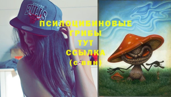 метамфетамин Михайловка