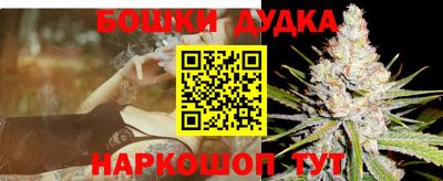гидра Дубна